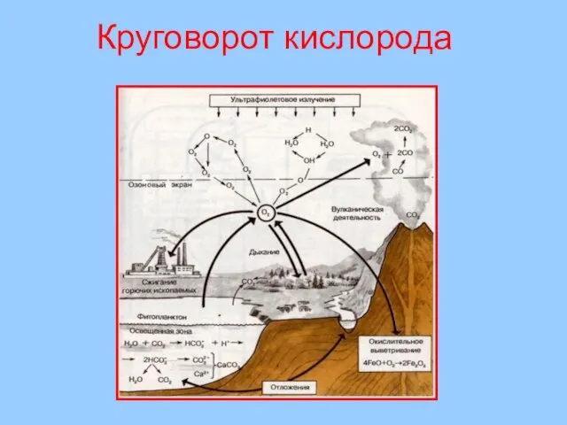 Круговорот кислорода