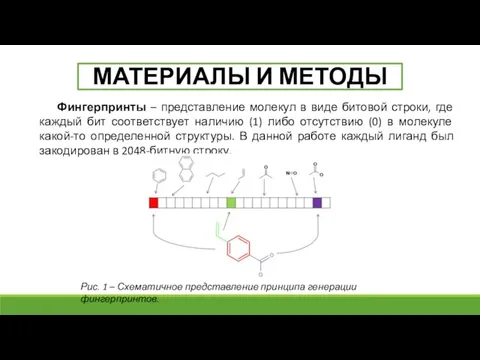 Фингерпринты – представление молекул в виде битовой строки, где каждый бит соответствует