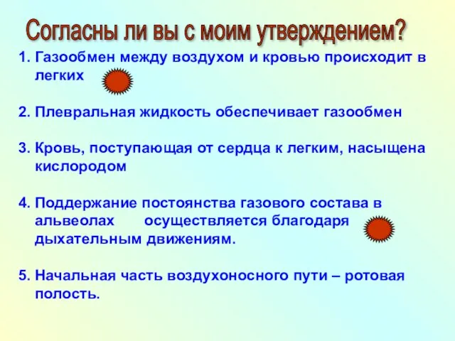 Газообмен между воздухом и кровью происходит в легких Плевральная жидкость обеспечивает газообмен