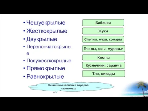 Чешуекрылые Жесткокрылые Двукрылые Перепончатокрылые Полужесткокрылые Прямокрылые Равнокрылые Бабочки Жуки Слепни, мухи, комары