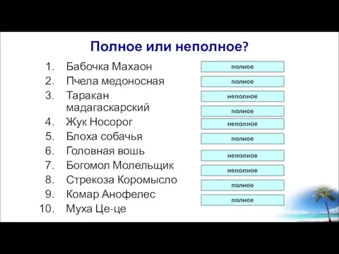 Полное или неполное? Бабочка Махаон Пчела медоносная Таракан мадагаскарский Жук Носорог Блоха