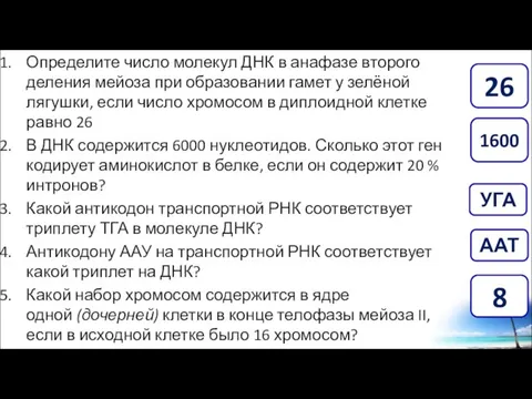 Определите число молекул ДНК в анафазе второго деления мейоза при образовании гамет