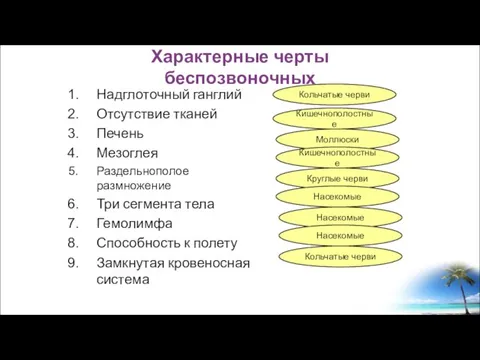 Надглоточный ганглий Отсутствие тканей Печень Мезоглея Раздельнополое размножение Три сегмента тела Гемолимфа