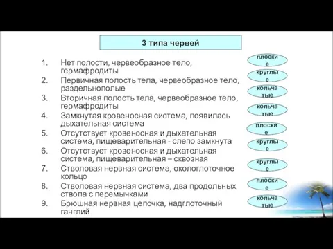 Нет полости, червеобразное тело, гермафродиты Первичная полость тела, червеобразное тело, раздельнополые Вторичная