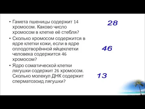 Гамета пшеницы содержит 14 хромосом. Каково число хромосом в клетке её стебля?