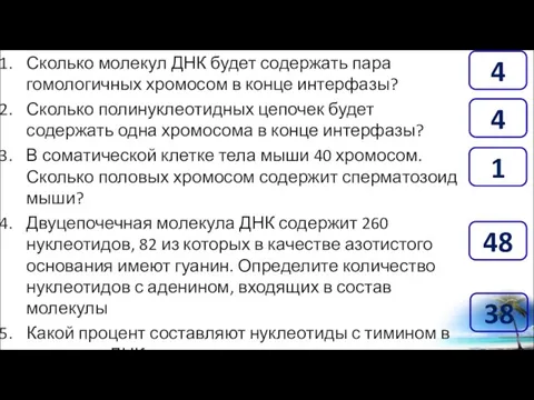 Сколько молекул ДНК будет содержать пара гомологичных хромосом в конце интерфазы? Сколько