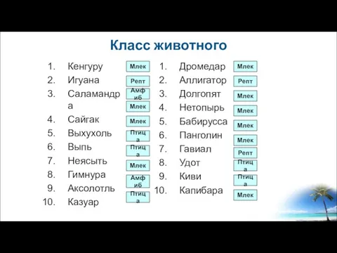 Класс животного Кенгуру Игуана Саламандра Сайгак Выхухоль Выпь Неясыть Гимнура Аксолотль Казуар