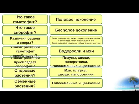 Что такое гаметофит? Что такое спорофит? Различия семени и споры? У каких