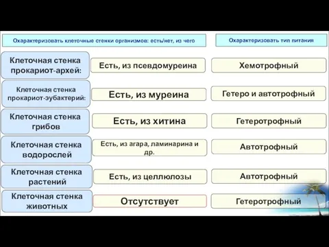 Клеточная стенка прокариот-архей: Есть, из псевдомуреина Клеточная стенка прокариот-эубактерий: Есть, из муреина