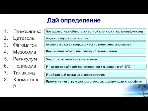 Дай определение Гликокаликс Цитозоль Фагоцитоз Мезосома Ретикулум Полисома Тилакоид Хроматофор Поверхностная область