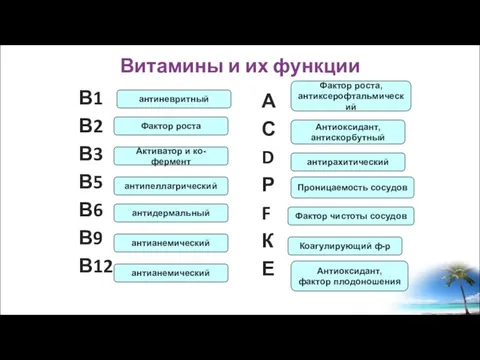 Витамины и их функции В1 В2 В3 В5 В6 В9 В12 А