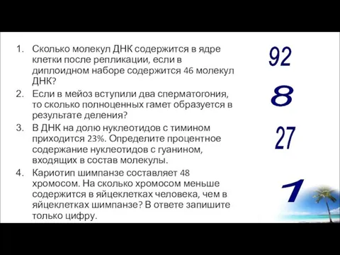 Сколько молекул ДНК содержится в ядре клетки после репликации, если в диплоидном