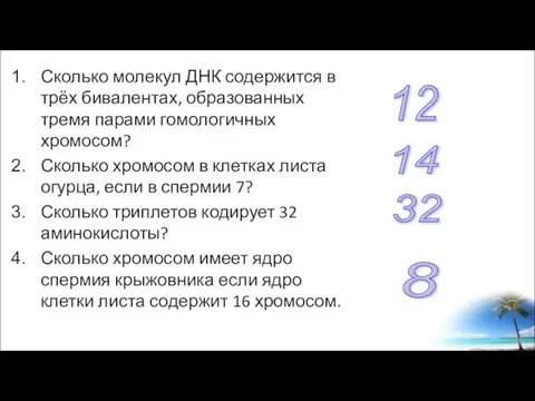 Сколько молекул ДНК содержится в трёх бивалентах, образованных тремя парами гомологичных хромосом?