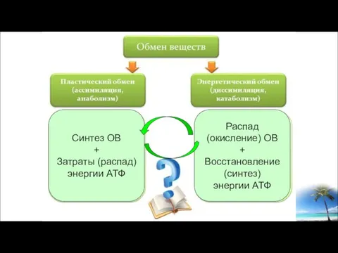 Синтез ОВ + Затраты (распад) энергии АТФ Распад (окисление) ОВ + Восстановление (синтез) энергии АТФ