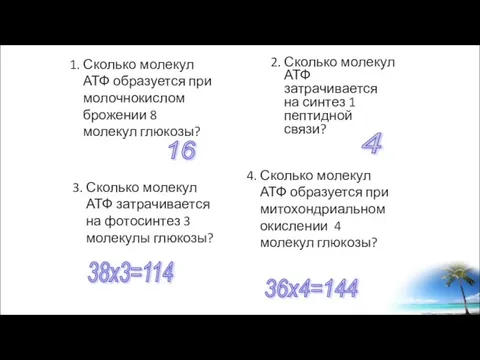 1. Сколько молекул АТФ образуется при молочнокислом брожении 8 молекул глюкозы? 2.