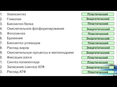 Хемосинтез Гликолиз Биосинтез белка Окислительное фосфорилирование Фотосинтез Брожение Биосинтез углеводов Распад жиров