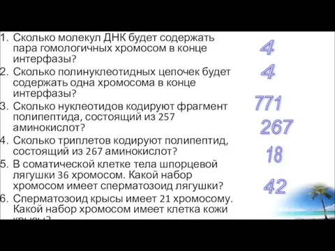 Сколько молекул ДНК будет содержать пара гомологичных хромосом в конце интерфазы? Сколько