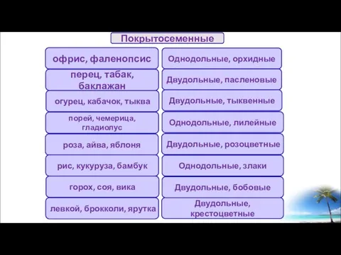 офрис, фаленопсис перец, табак, баклажан огурец, кабачок, тыква порей, чемерица, гладиолус роза,