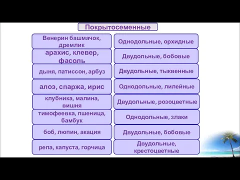 Венерин башмачок, дремлик арахис, клевер, фасоль дыня, патиссон, арбуз алоэ, спаржа, ирис