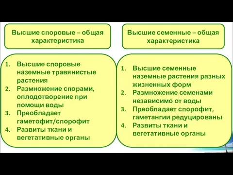 Высшие споровые – общая характеристика Высшие споровые наземные травянистые растения Размножение спорами,