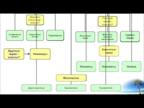 Кишечно- полостные - классы? Плоские черви- классы? Круглые черви – классы? Кольчатые