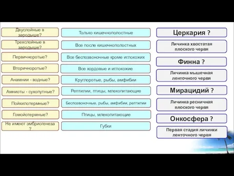 Двуслойные в зародыше? Трехслойные в зародыше? Только кишечнополостные Все после кишечнополостных Первичноротые?