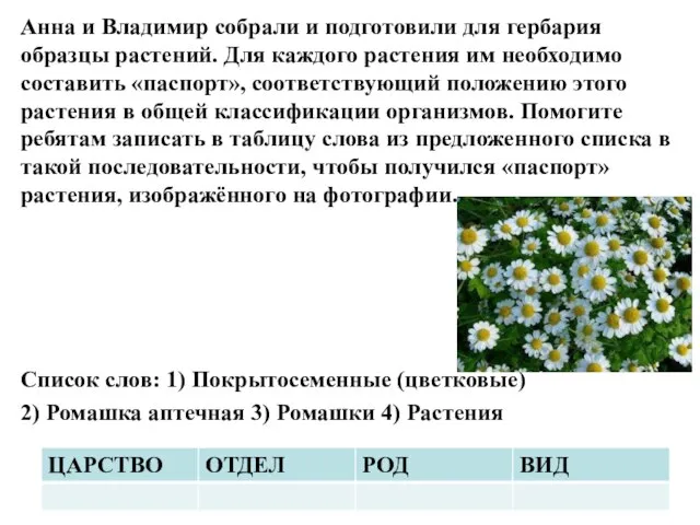 Анна и Владимир собрали и подготовили для гербария образцы растений. Для каждого