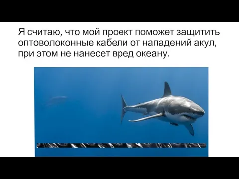 Я считаю, что мой проект поможет защитить оптоволоконные кабели от нападений акул,