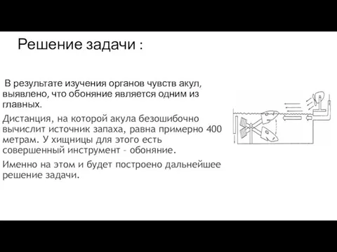 Решение задачи : В результате изучения органов чувств акул, выявлено, что обоняние