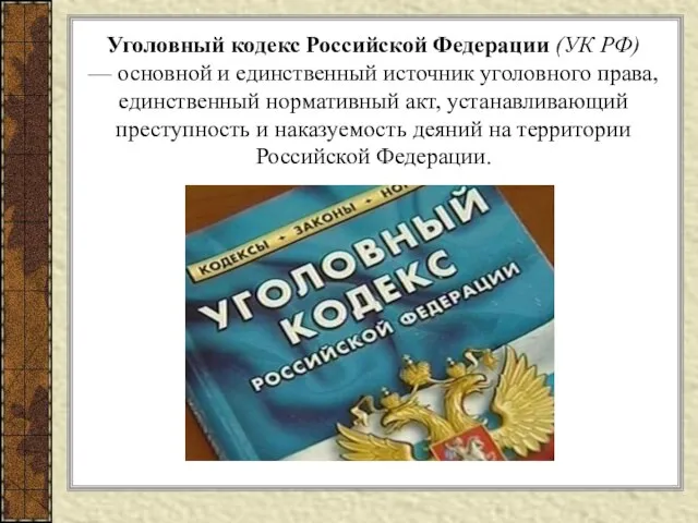 Уголовный кодекс Российской Федерации (УК РФ) — основной и единственный источник уголовного