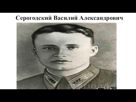 Серогодский Василий Александрович