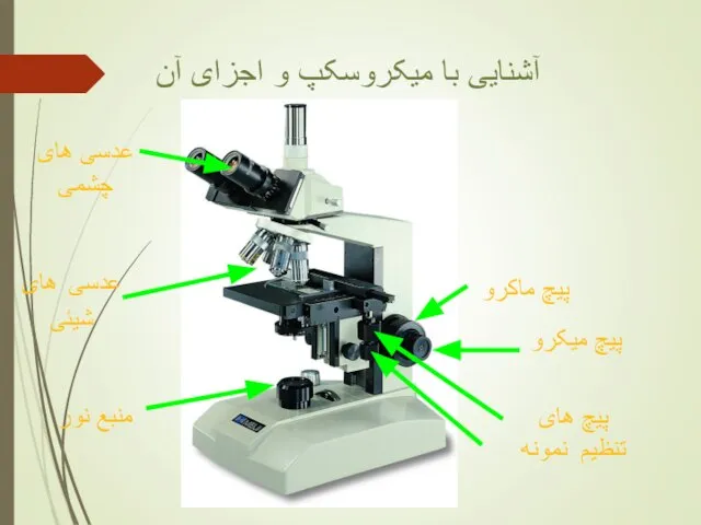 آشنایی با میکروسکپ و اجزای آن عدسی های چشمی عدسی های شیئی