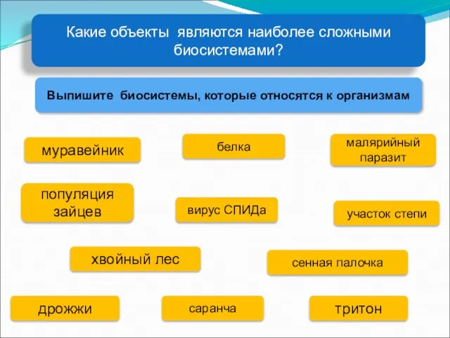 Какие объекты являются наиболее сложными биосистемами? Выпишите биосистемы, которые относятся к организмам