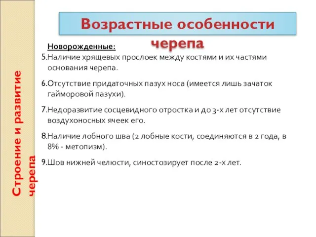 Строение и развитие черепа Возрастные особенности черепа Новорожденные: Наличие хрящевых прослоек между