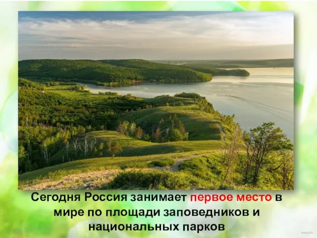 Сегодня Россия занимает первое место в мире по площади заповедников и национальных парков