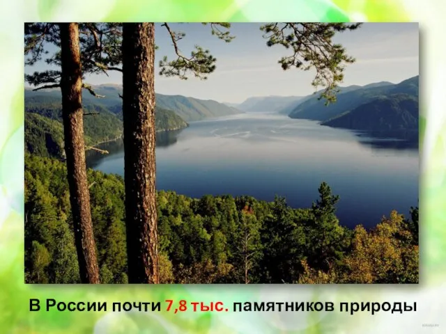 В России почти 7,8 тыс. памятников природы