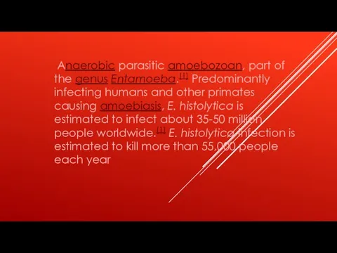 Anaerobic parasitic amoebozoan, part of the genus Entamoeba.[1] Predominantly infecting humans and
