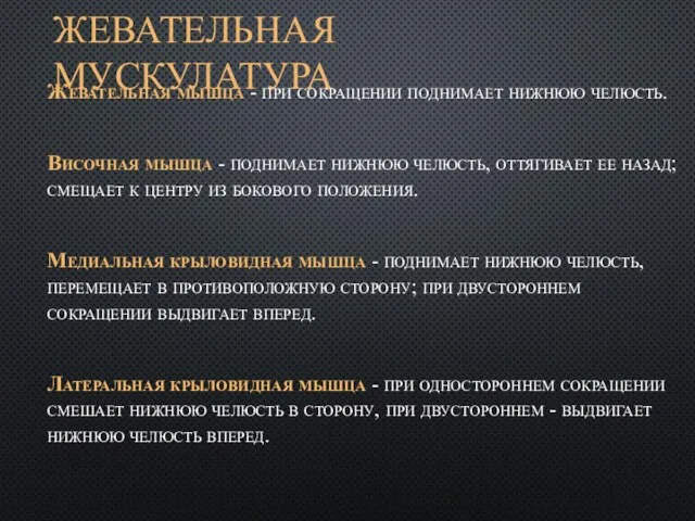 ЖЕВАТЕЛЬНАЯ МУСКУЛАТУРА Жевательная мышца - при сокращении поднимает нижнюю челюсть. Височная мышца