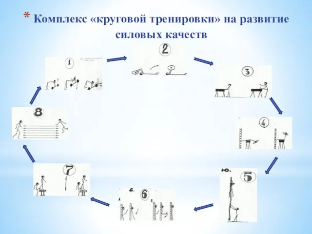 Комплекс «круговой тренировки» на развитие силовых качеств