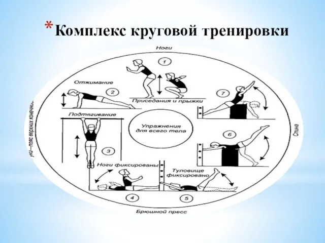 Комплекс круговой тренировки