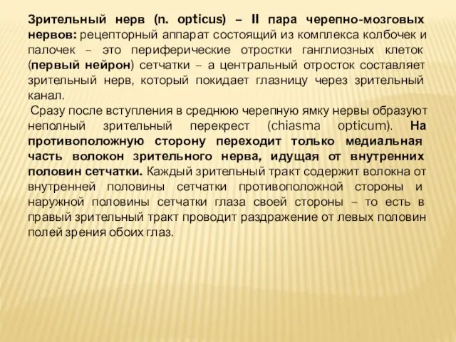 Зрительный нерв (n. opticus) – II пара черепно-мозговых нервов: рецепторный аппарат состоящий