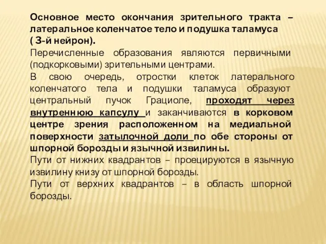 Основное место окончания зрительного тракта – латеральное коленчатое тело и подушка таламуса