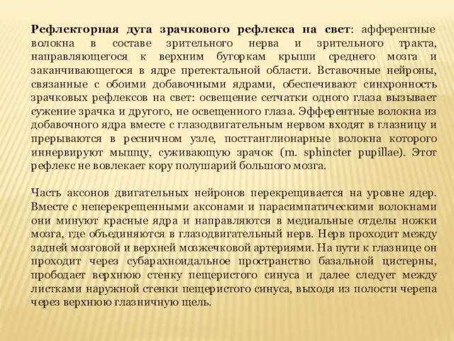 Рефлекторная дуга зрачкового рефлекса на свет: афферентные волокна в составе зрительного нерва