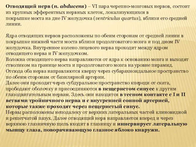 Отводящий нерв (n. abducens) – VI пара черепно-мозговых нервов, состоит из крупных