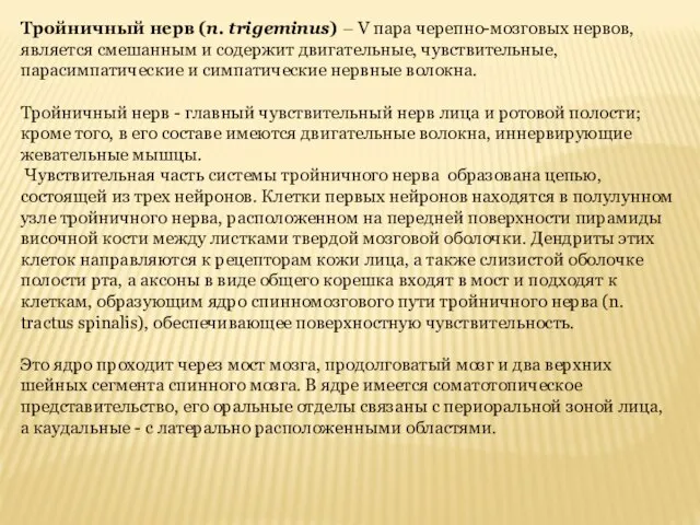 Тройничный нерв (n. trigeminus) – V пара черепно-мозговых нервов, является смешанным и