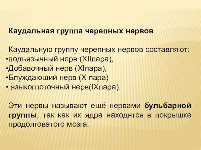 Каудальная группа черепных нервов Каудальную группу черепных нервов составляют: подъязычный нерв (XIIпара),