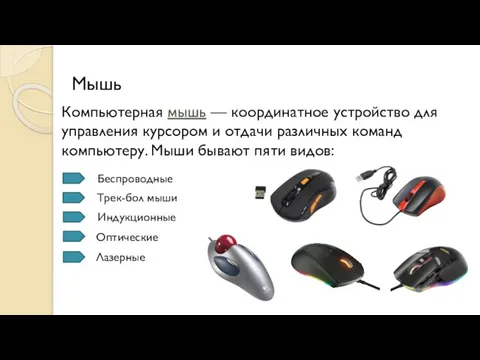 Мышь Компьютерная мышь — координатное устройство для управления курсором и отдачи различных