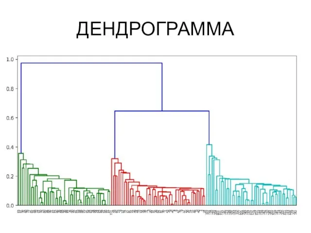 ДЕНДРОГРАММА