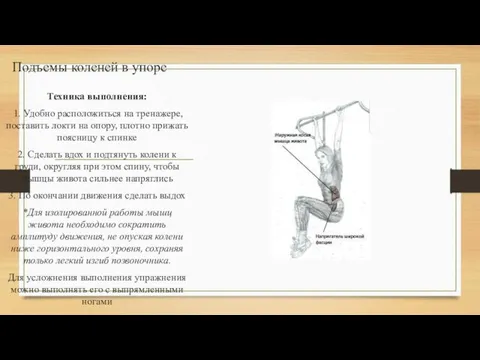 Подъемы коленей в упоре Техника выполнения: 1. Удобно расположиться на тренажере, поставить