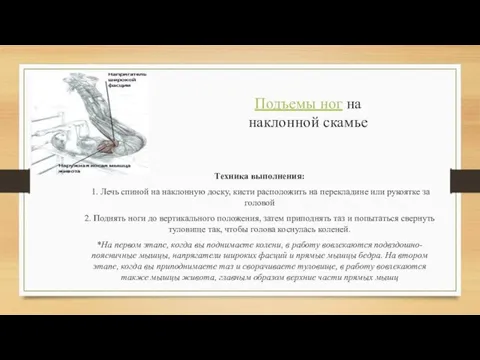 Подъемы ног на наклонной скамье Техника выполнения: 1. Лечь спиной на наклонную